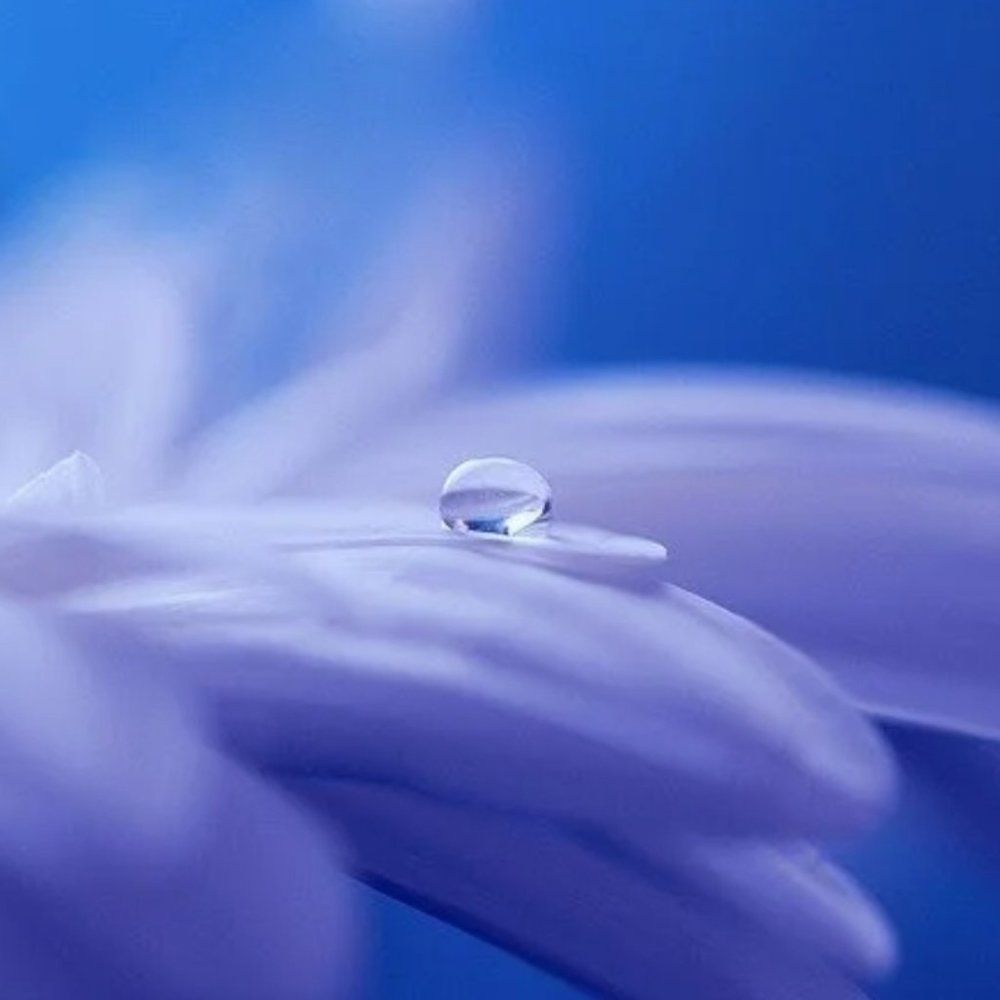 Meet your Posher, Shellèy